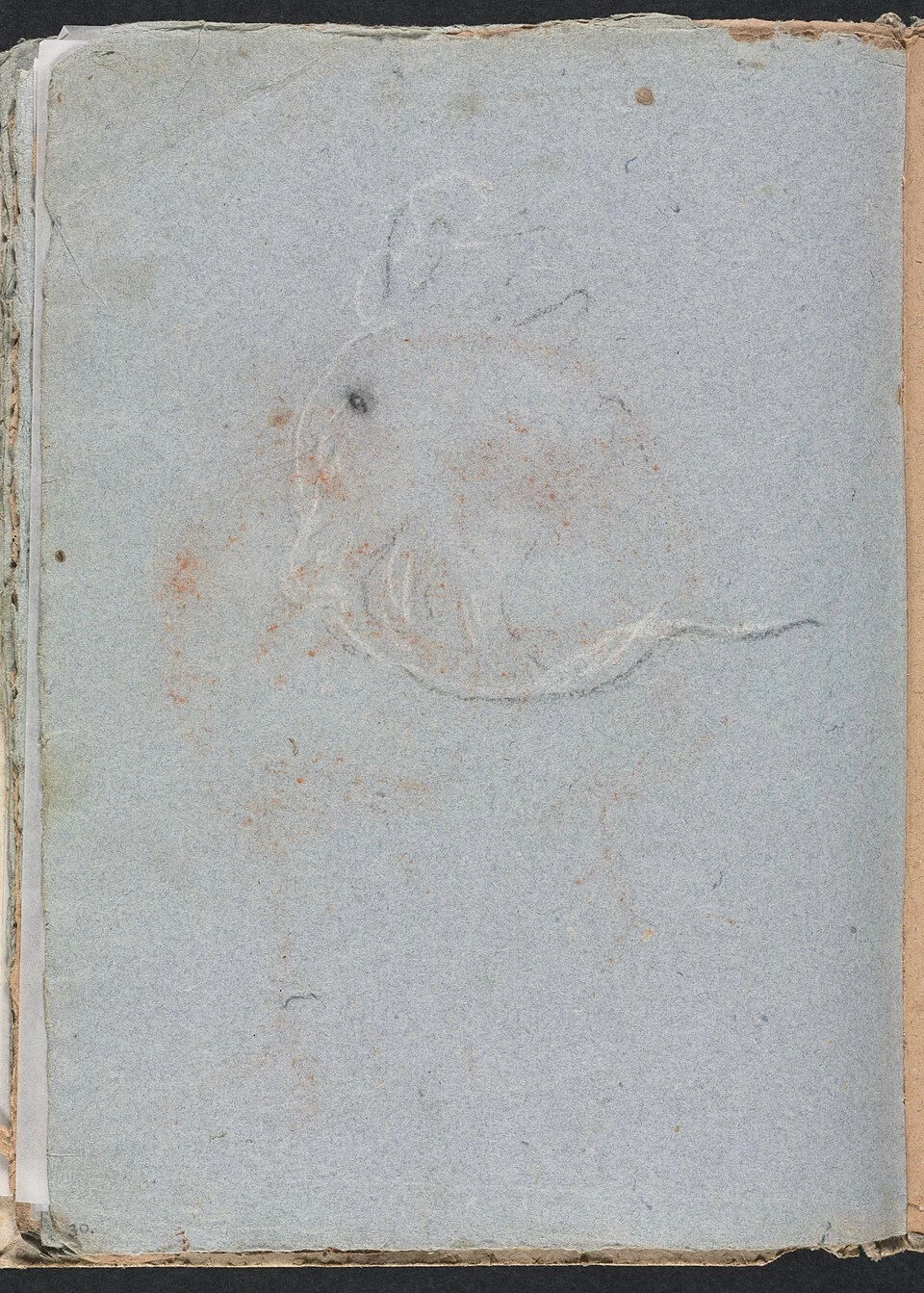 Testa - Cleveland Museum of Art